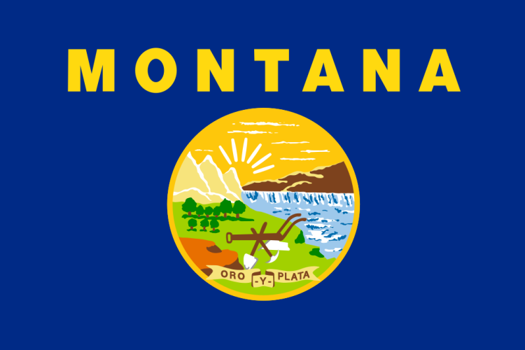 Montana Trucking Accident Laws